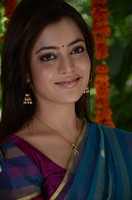 Nisha Agarwal Saree Photos